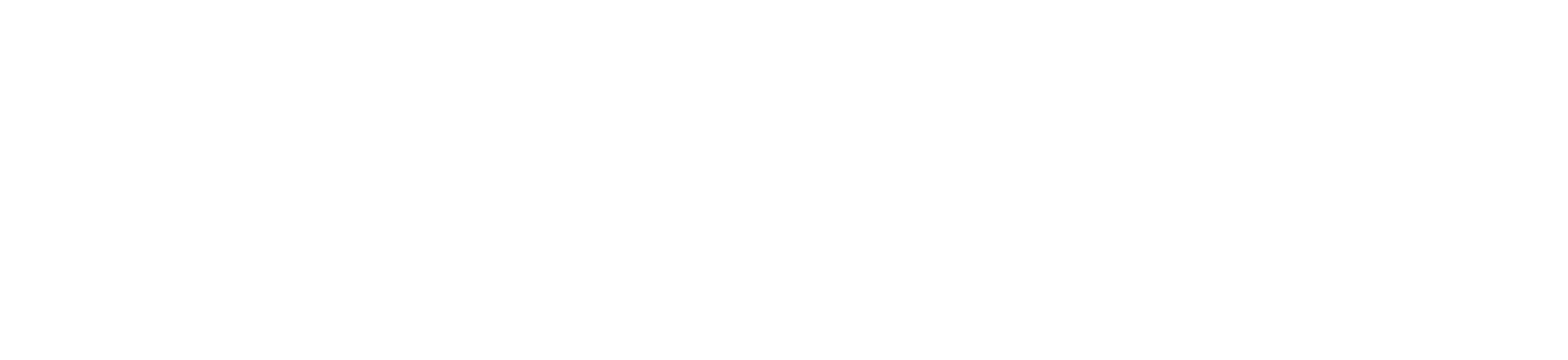 Next Trips & Travels